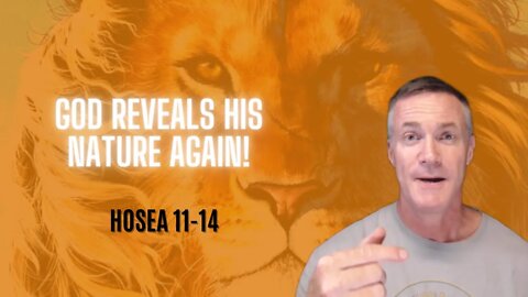 Daily Bible Breakdown Monday, September 19th 2022 - Hosea 11-14