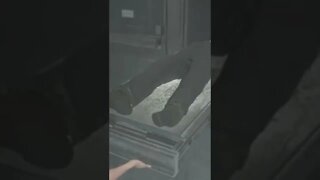 Resident Evil 2 Diamond key location zombie couldn’t let me go