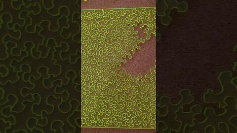 Today, this will be complete! #puzzle #puzzletime #staytuned #impossible #satisfying #shorts