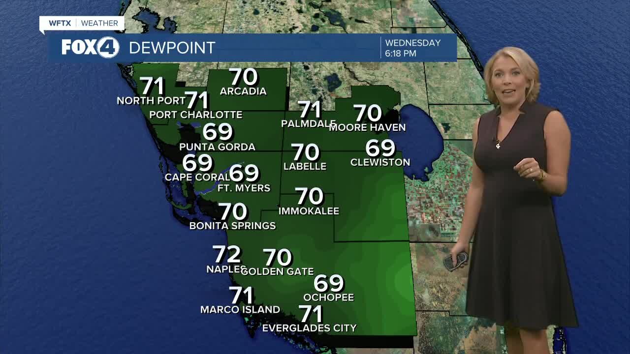 A Foggy Start to Your Thanksgiving