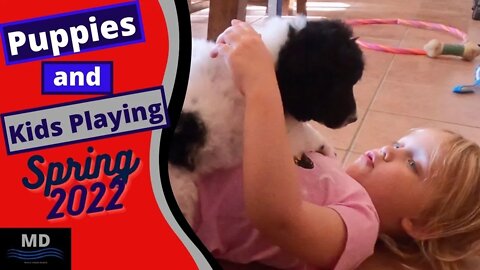 Puppies and Kids playing together