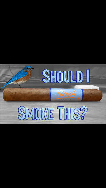 60 SECOND CIGAR REVIEW - Blackbird Finch