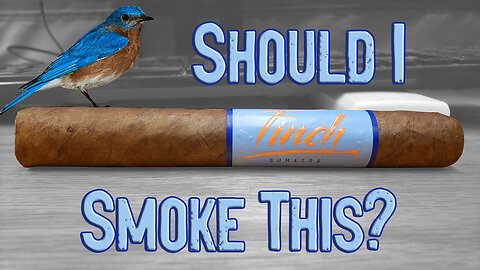 60 SECOND CIGAR REVIEW - Blackbird Finch