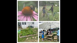 Neighbors transform a vacant lot into gardens & community space