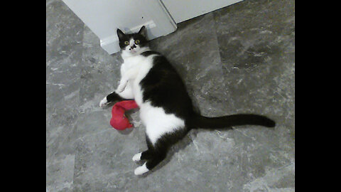 Friday Post Salt Stream