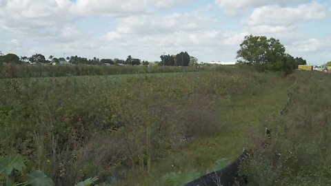 Palm Beach County commissioners debate future of Agricultural Reserve