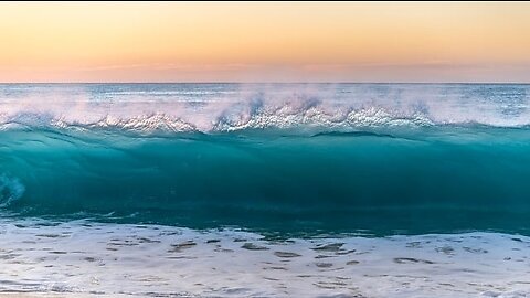 Ocean Waves Saltwater Coral Seashells