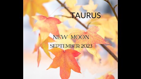 TAURUS- "UP FRONT, SAY WHAT YOU MEAN, MEAN WHAT YOU SAY" SEPTEMBER 2023