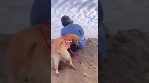 अरे इस डॉग ने क्या कर दिया🤣What did this Dog do👈