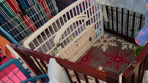 Short Videos Only(2)