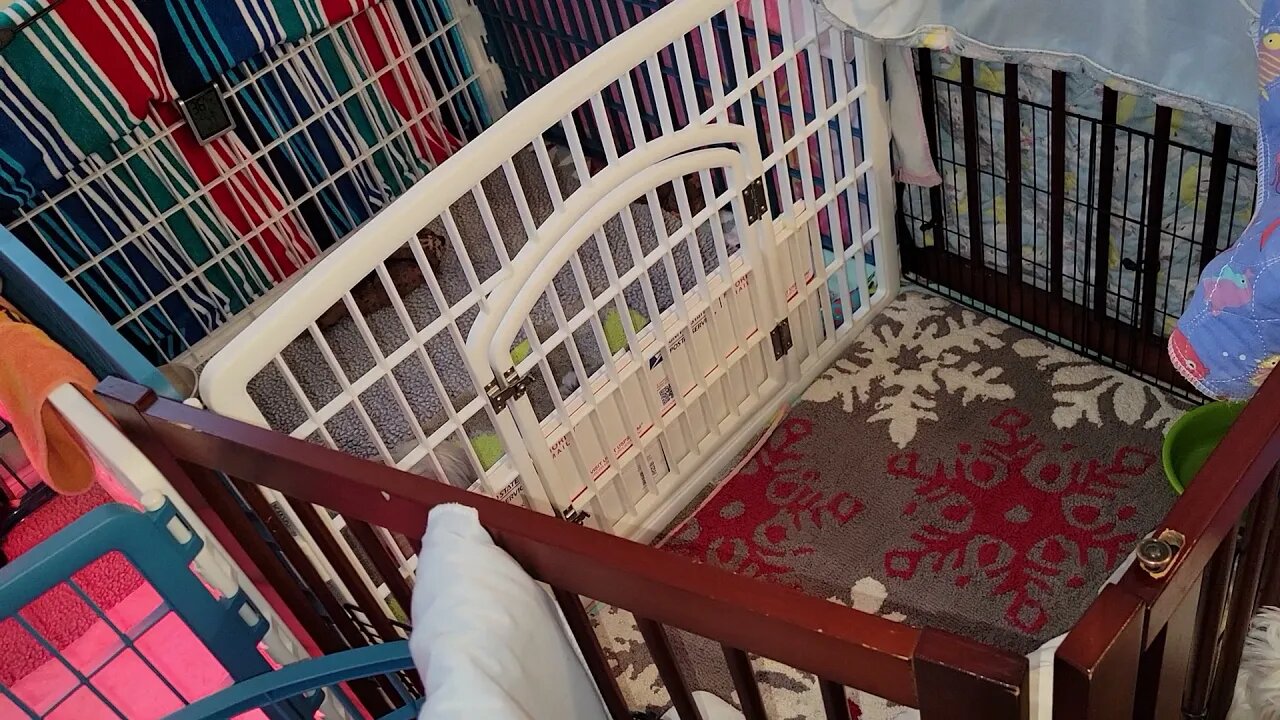 Short Videos Only(2)