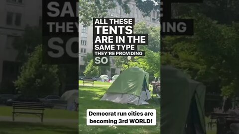 Democrat run cities are the best! #shorts
