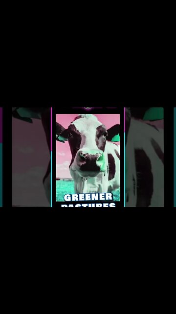 GREEN ACRES - the Whole Tip Daily #shorts #short #shortvideo