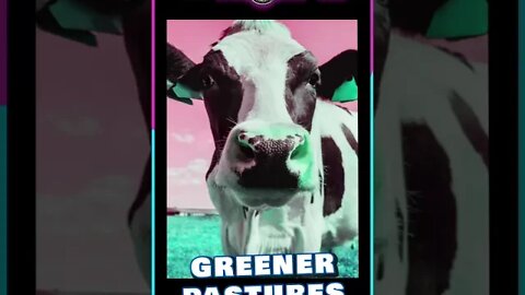 GREEN ACRES - the Whole Tip Daily #shorts #short #shortvideo