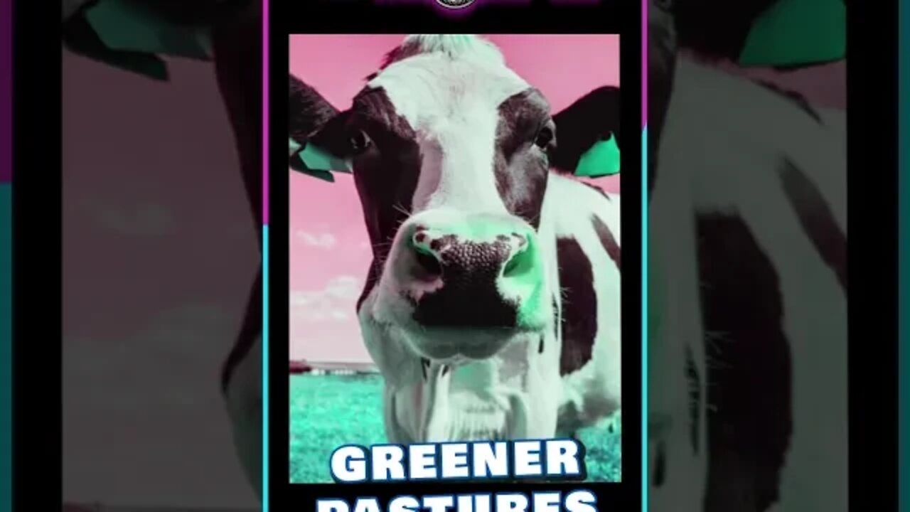 GREEN ACRES - the Whole Tip Daily #shorts #short #shortvideo