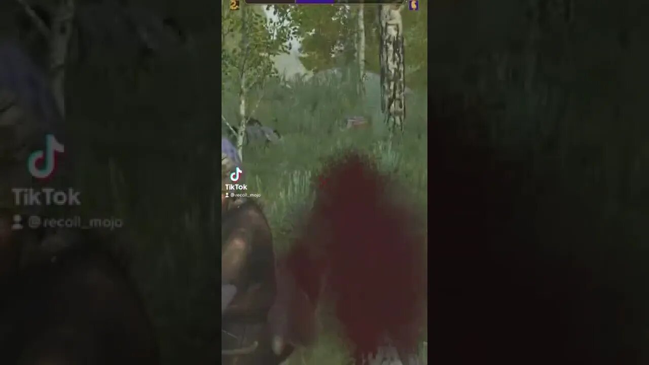 Mount & Blade II: Bannerlord Mods TikTok Gaming PC Clips 2022 134.1K Followers 3.4M Likes 100M Views