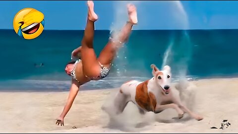 Best Funny Animal Video 2023😂 - funiest dogs and cats videos