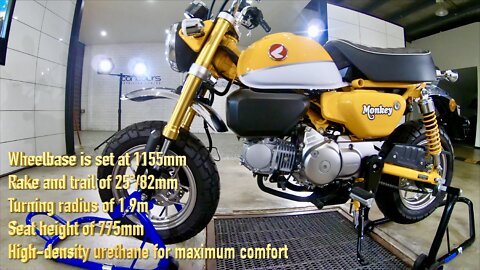 2019 Honda Monkey Z125 Walk Around