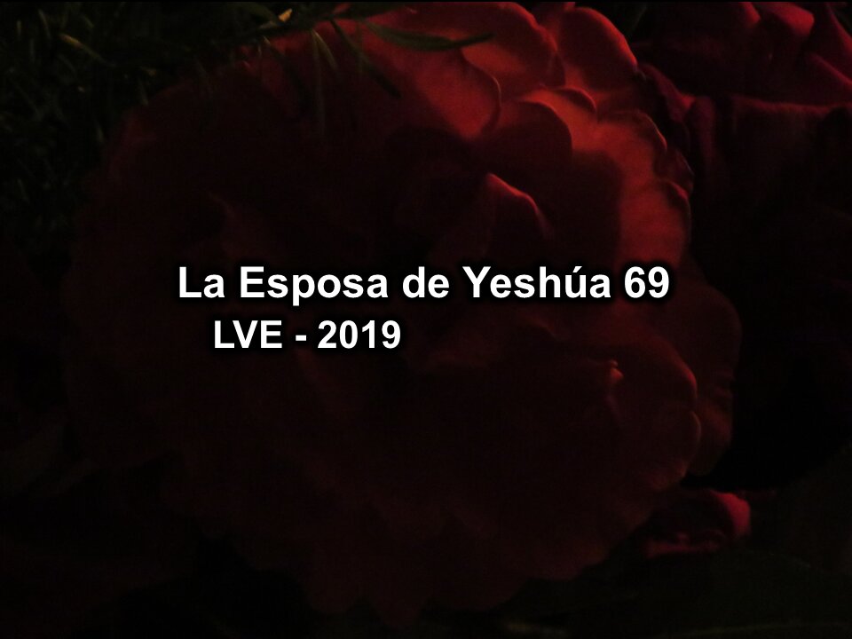 La Esposa de Yeshúa 69 - YHWH Ekjad 48 - Juan 9