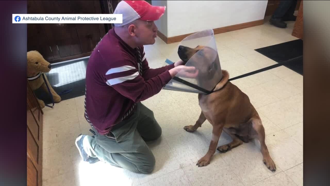 Animal shelter seeking care, justice for dog they say was shot 5 times in Geneva Twp.