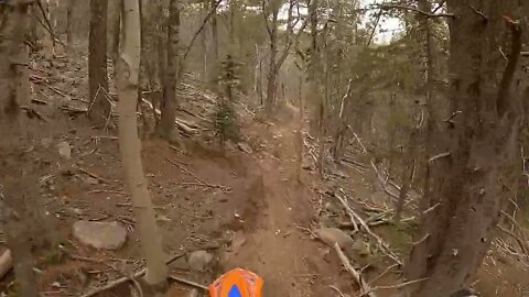 Finding the good stuff is never easy!