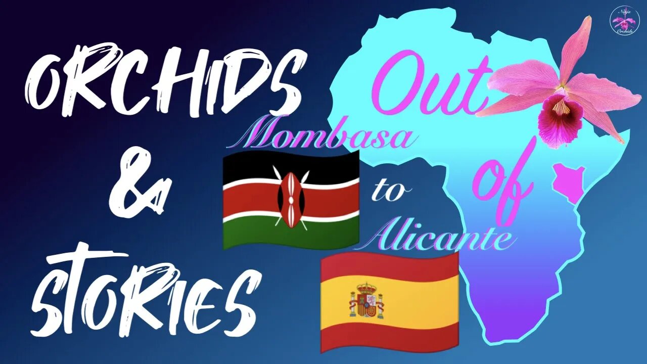 Orchid Deep Clean Repot #LaeliaPacavia | Sailing from #Mombasa ๐ฐ๐ช to #Alicante ๐ช๐ธvia #DiegoGarcia ๐ฎ๐ด