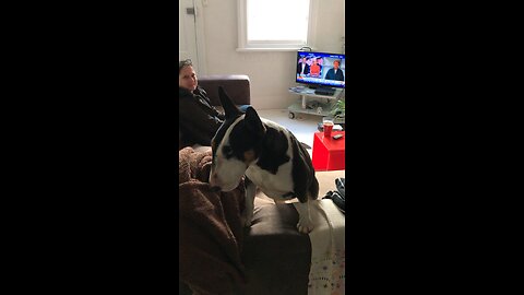 Cleo being Cleo