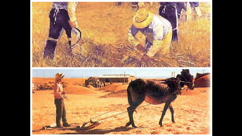 Apocalipsis-Libro V-Cap. 12-13: LOS BIENAVENTURADOS / UNO COMO EL HIJO DEL HOMBRE, Stephen Jones