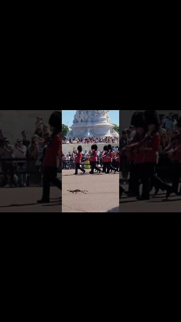 Changing of the Guards Buckingham Palace band #buckinghampalace