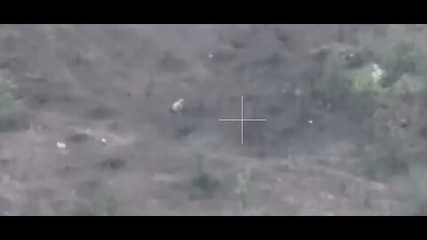 The Ukrainian military poops, and this is not a joke