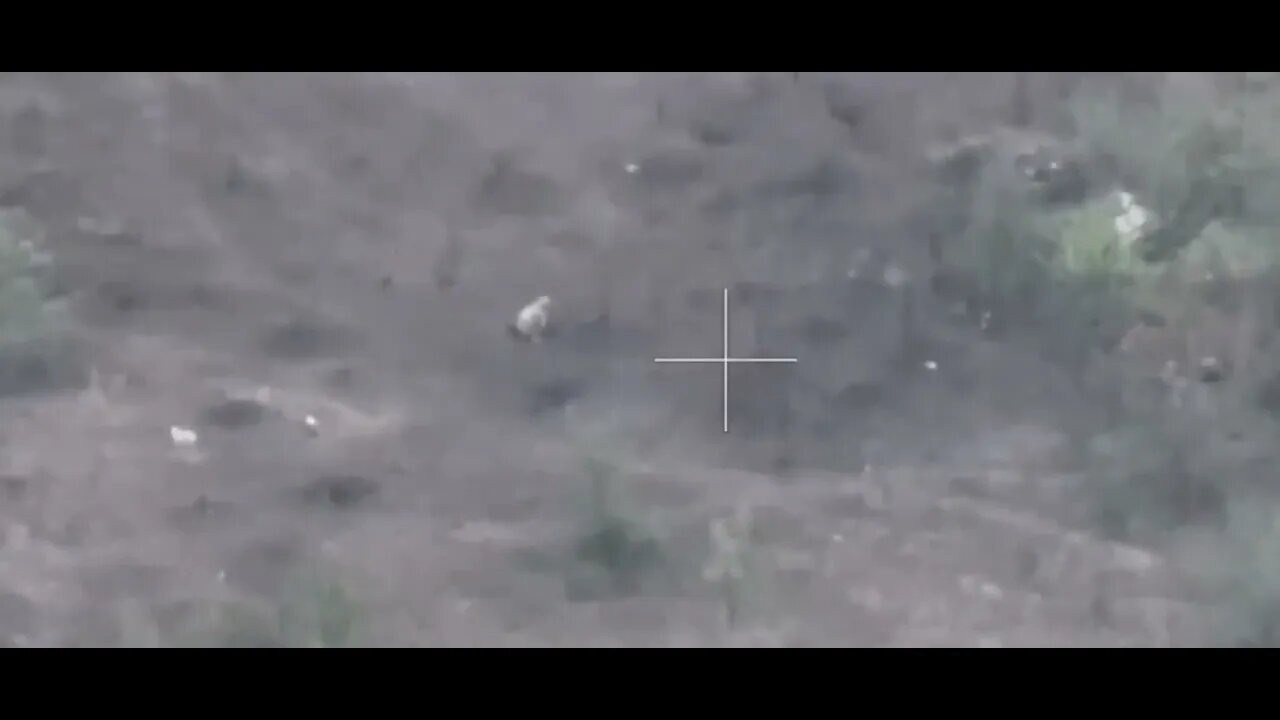 The Ukrainian military poops, and this is not a joke