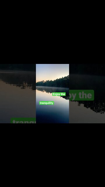 Morning Zen Tranquillity #shorts