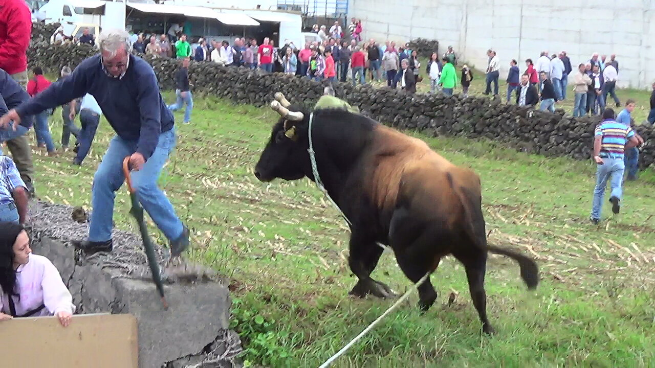 Touradas 2014 Clip 1 - Diversas Localidades Ilha Terceira - Açores - Portugal