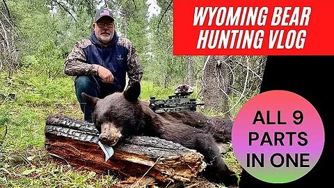 Wyoming DIY Bear Hunting Complete Vlog