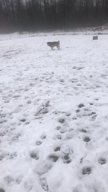 Monday December 16, Be strong and courageous