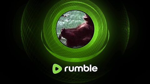 CHUCKLE BEAR LIVE
