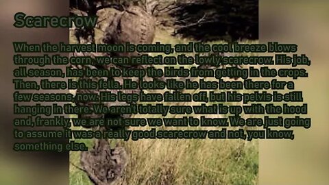 Daisy Daisy(Backwards) CREEPY 10 most SCARY PICTURES