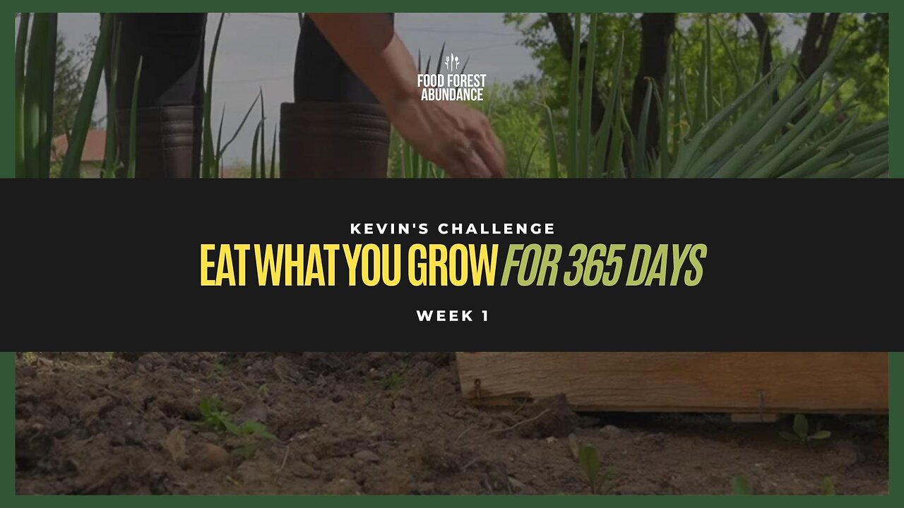 Kevin’s “Eat what you grow for 365 days” challenge- Week 1