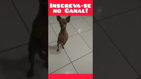dança melhor que eu #shorts