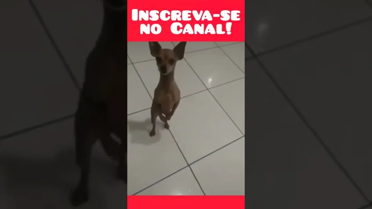 dança melhor que eu #shorts