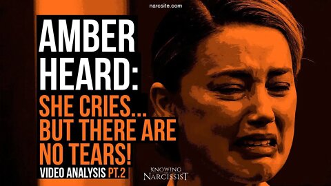 Amber Heard : She Cries But There Are No Tears Part 2- Video Analysis