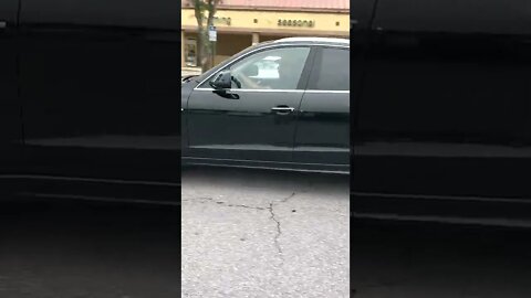 Audi #gangstalking 05/23/2022 Perping me in luxury cars, while I'm struggling!