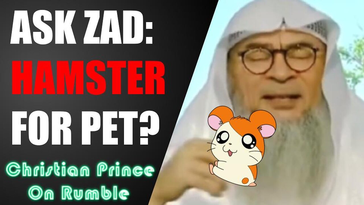 Ask Zad, Can Muslims Keep A Hamster As A Pet?