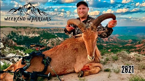 AFFLICTOR VS AOUDAD - West Texas Showdown [Bowhunting Aoudad] Texas Aoudad