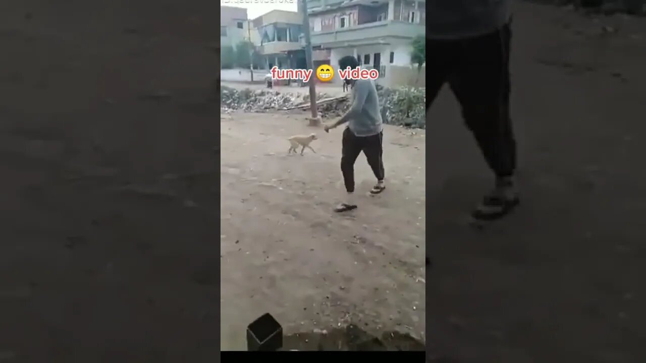 funny moment #youtubeshorts #shorts