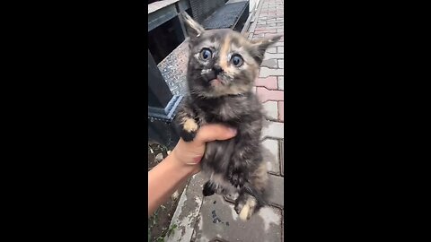 What is going on here?