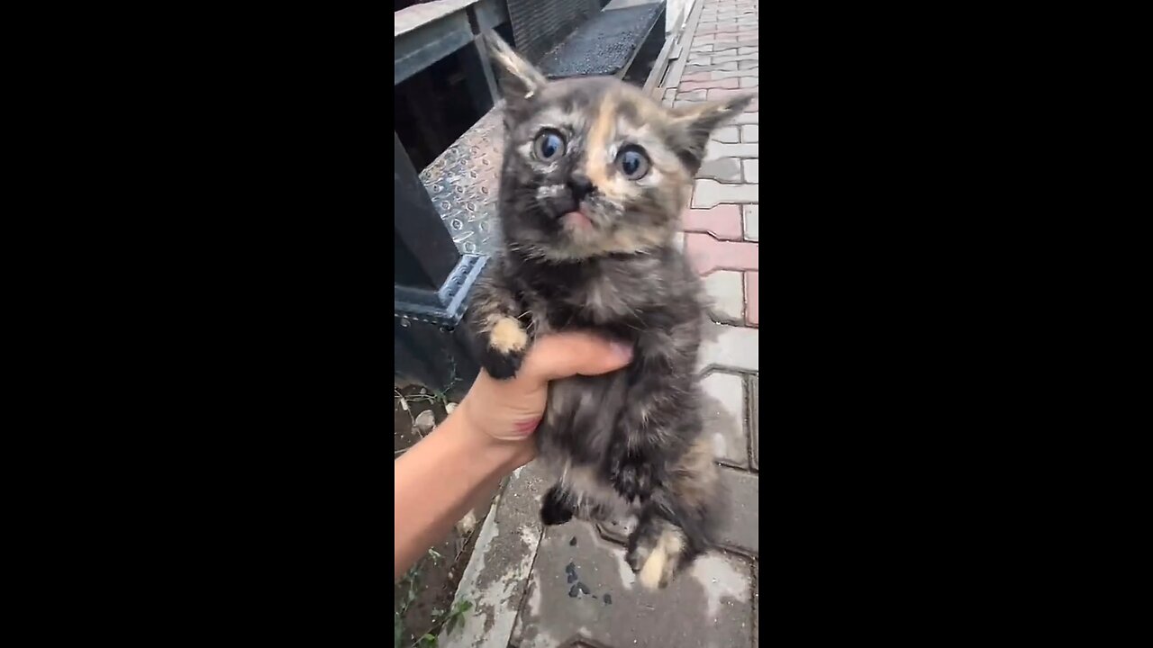 What is going on here?