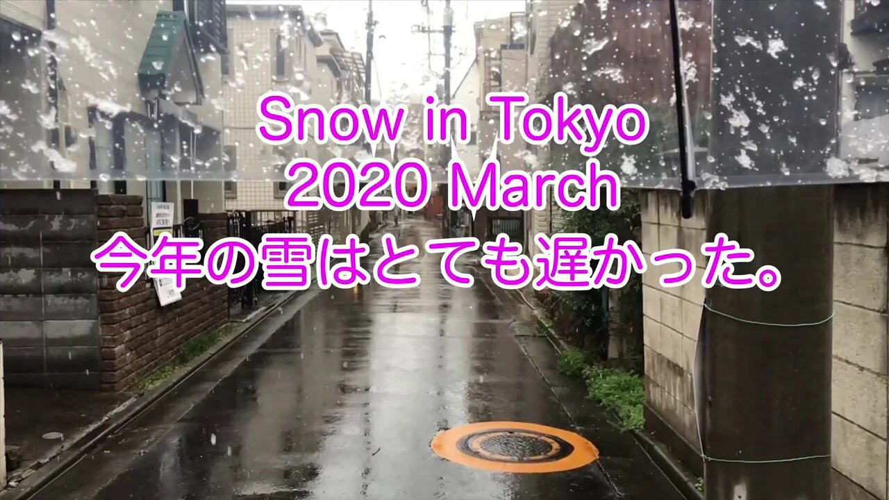 2020年3月16日