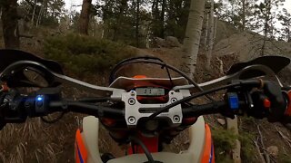 2021 Beta 300 RR Racing - First Singletrack