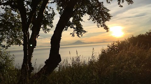 My view Clam Gulch Alaska